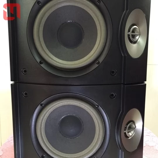 Loa Bose 301 Series 5