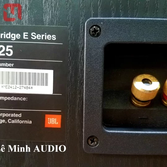 Loa Center JBL EC25
