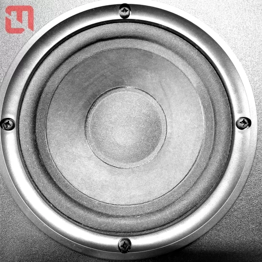 Loa Bose 201 Series IV đến từ US