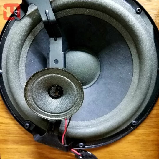 Loa Bose 4.2