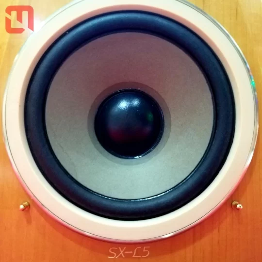 Loa Bookshelf Hi End VICTOR SX - L5 hàng eBay