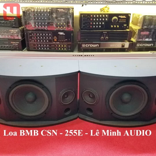 Loa KaraOke BMB CSN 255E