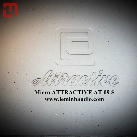Micro không dây ATTRACTIVE AT-09S