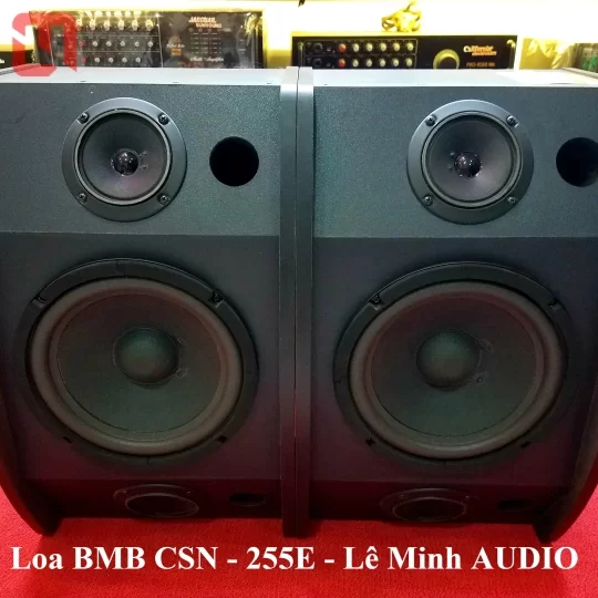 Loa KaraOke BMB CSN 255E