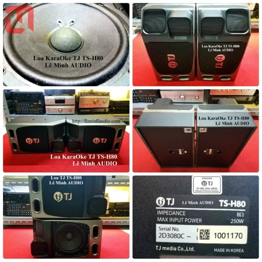 Loa KaraOke TJ Media TS-H80