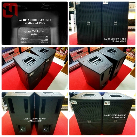Loa BF AUDIO T12 PRO