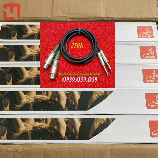 Micro cao cấp không dây PHOENIX PH-M910S